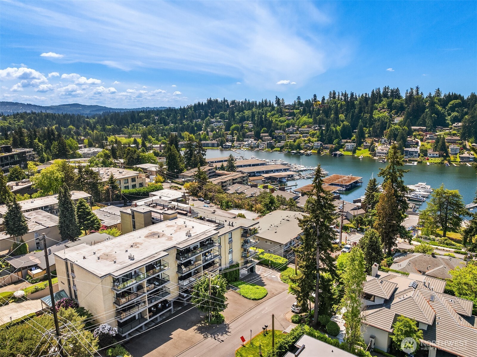9909 NE 1st Bellevue WA 98004