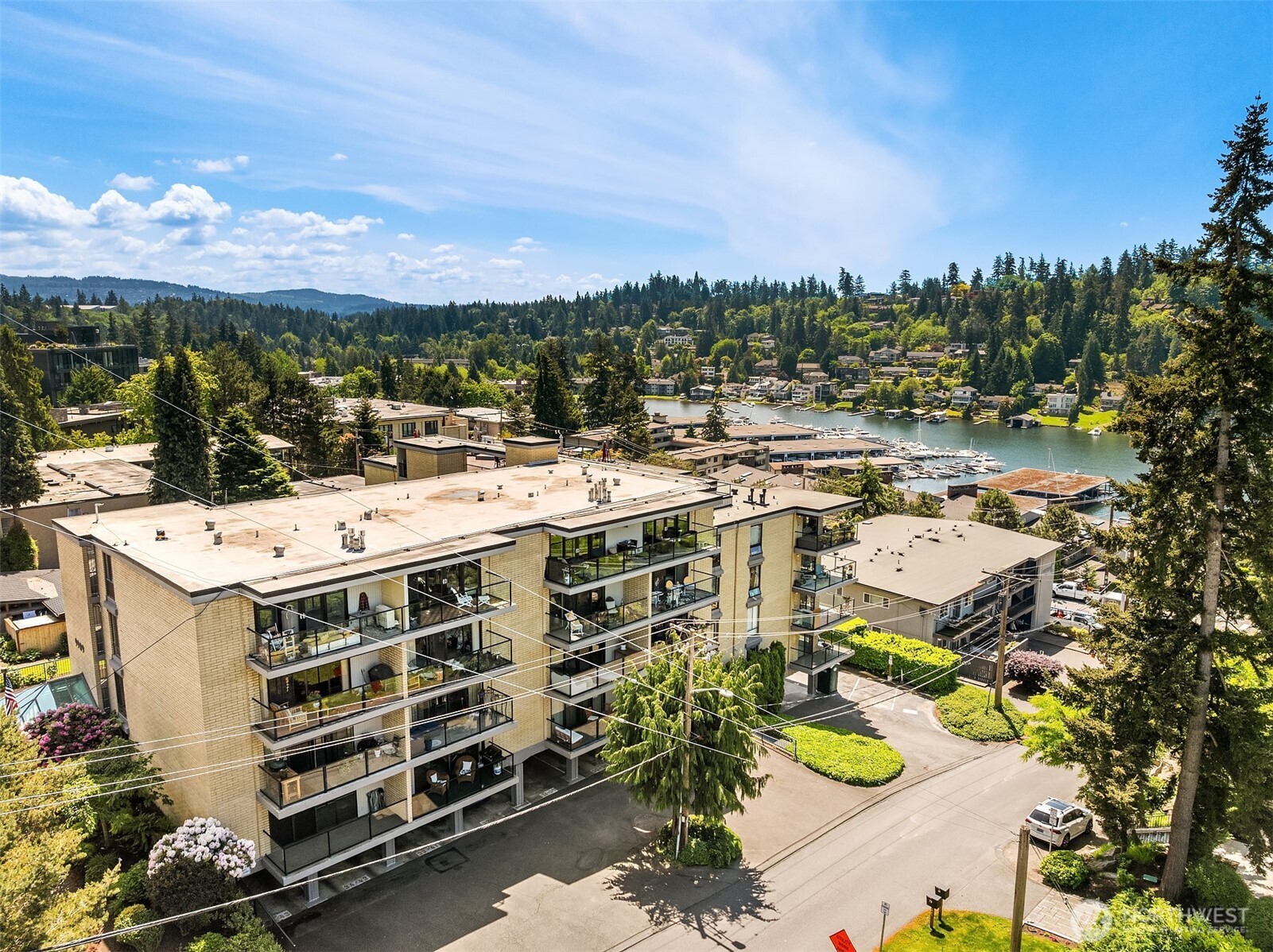 9909 NE 1st Bellevue WA 98004