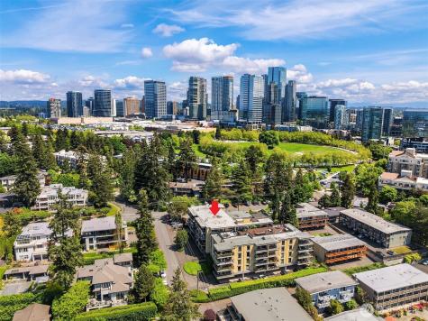 9909 NE 1st Bellevue WA 98004