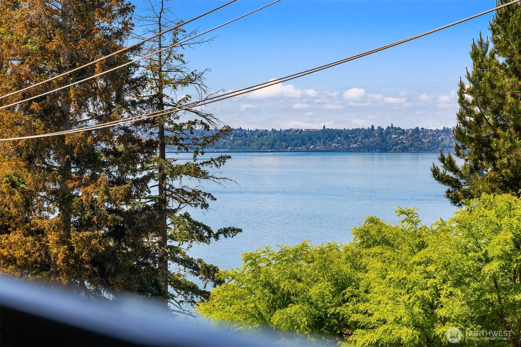 9909 NE 1st Bellevue WA 98004