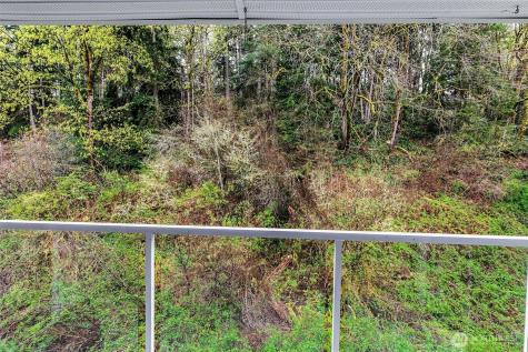 715 Harrington Place SE Renton WA 98058