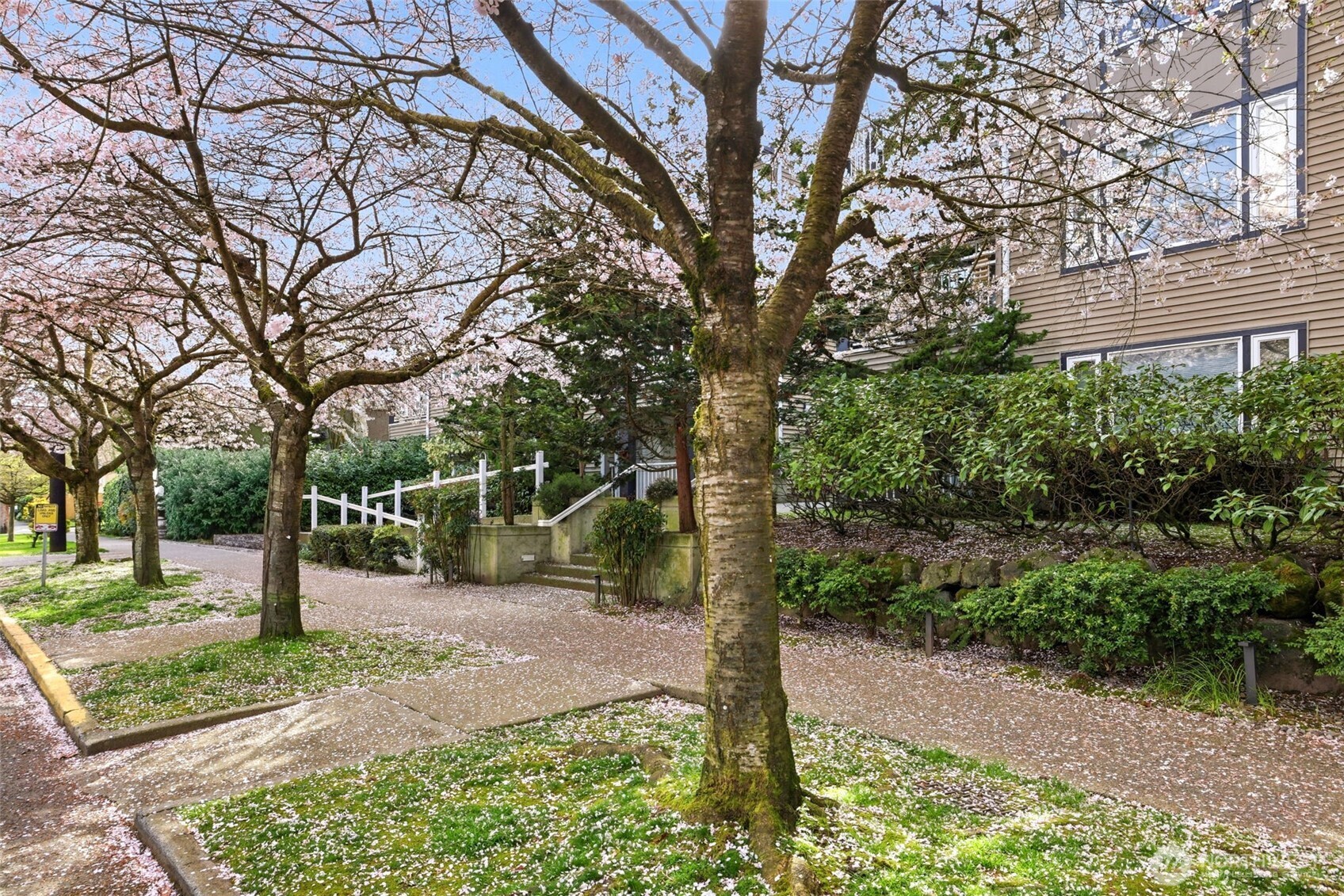215 20th Avenue E Seattle WA 98112