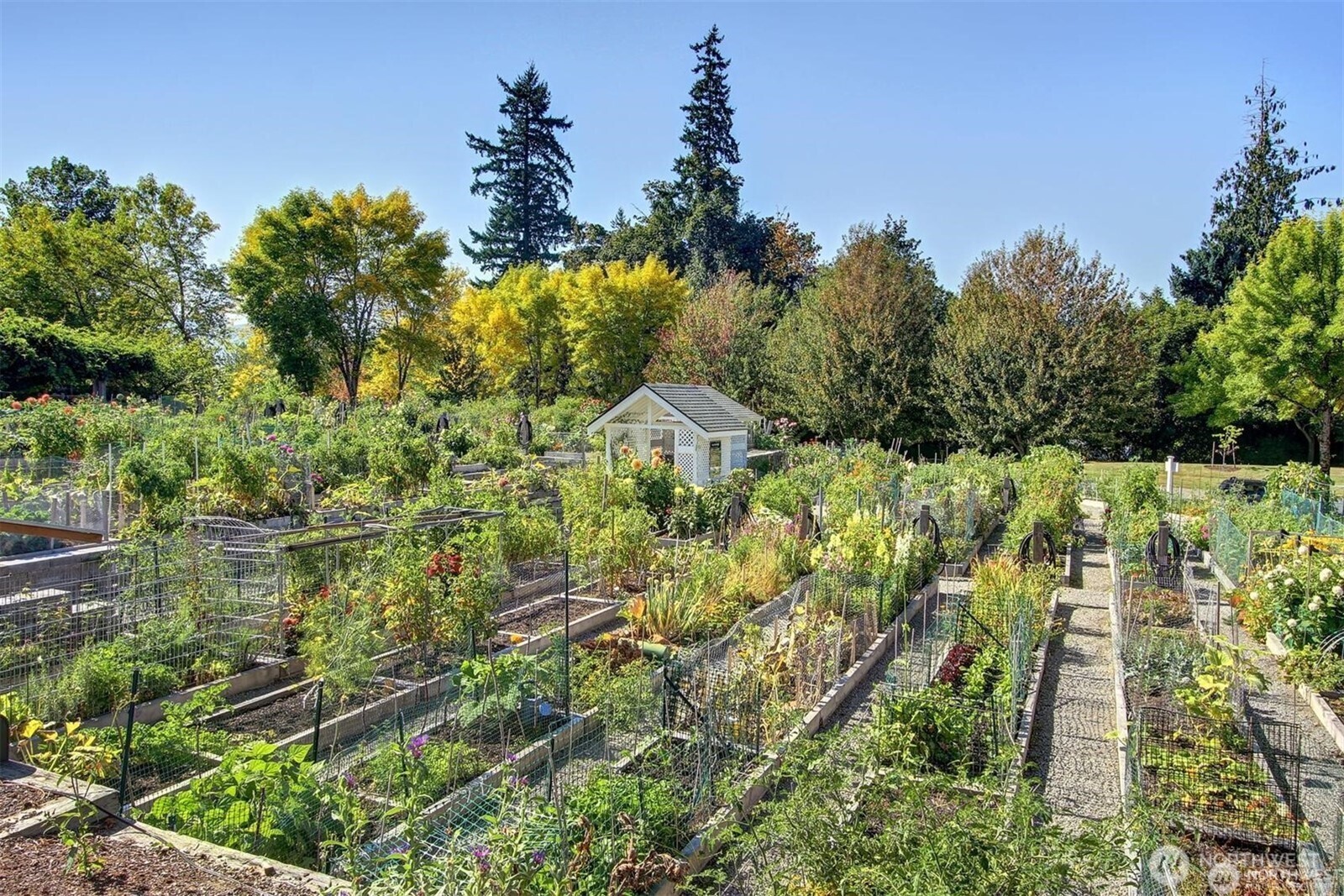 4406 Providence Point Place SE Issaquah WA 98029