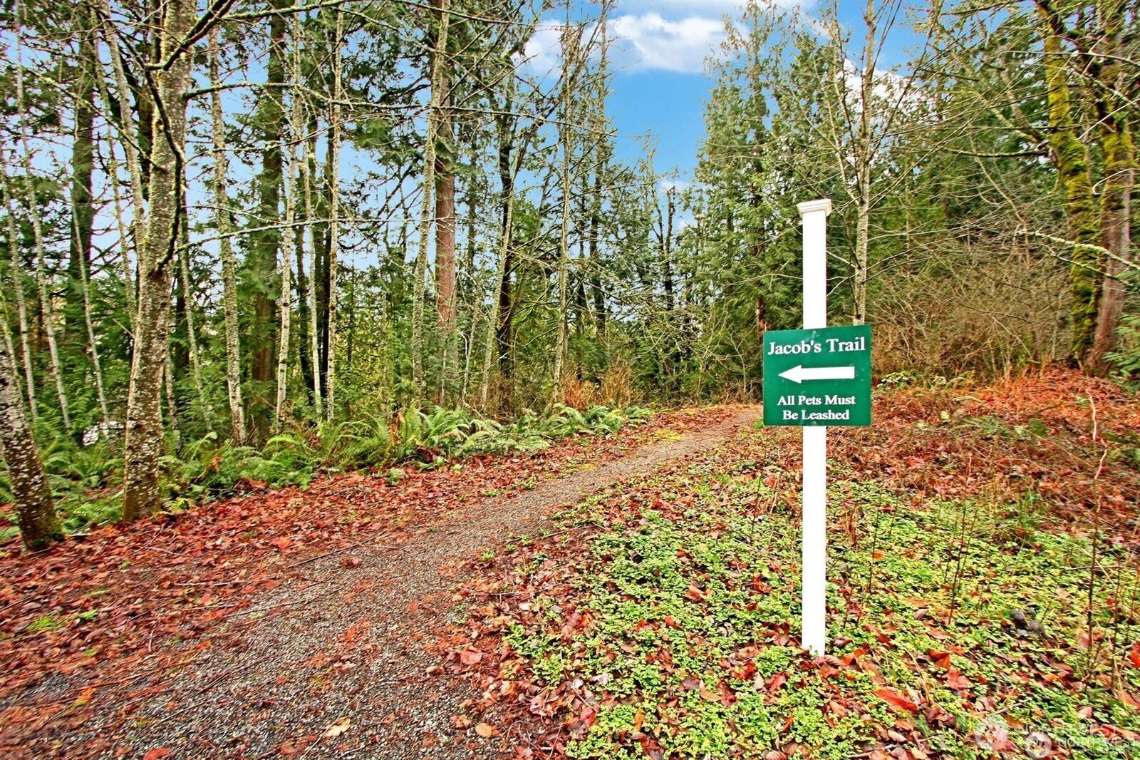 4406 Providence Point Place SE Issaquah WA 98029