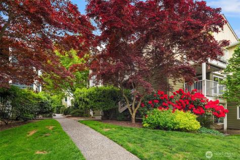 300 N 130th Street Seattle WA 98133