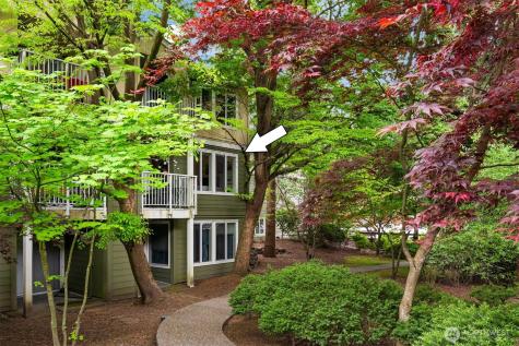 300 N 130th Street Seattle WA 98133