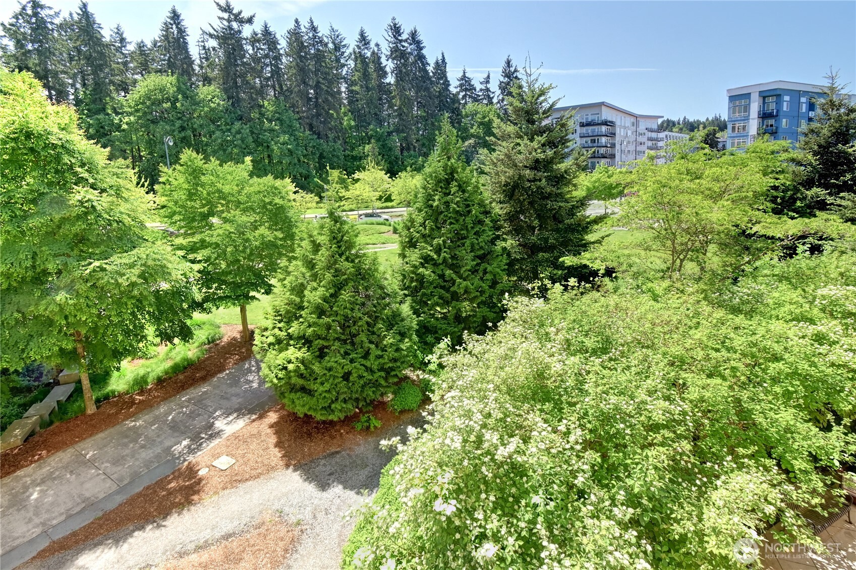 16141 Cleveland Street Redmond WA 98052
