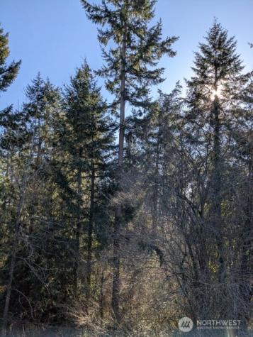 3435 SE Auburn Way S Auburn WA 98092