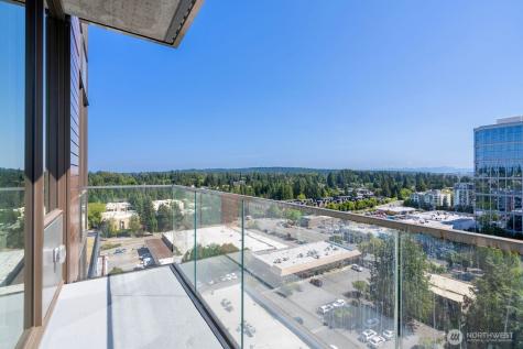 10232 NE 10th Street Bellevue WA 98004