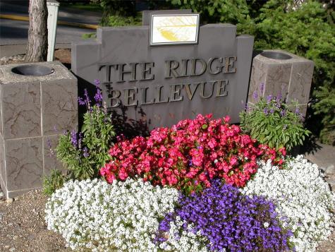 10414 32nd Bellevue WA 98004