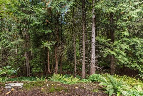 3921 108th Avenue NE Bellevue WA 98004