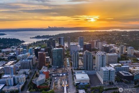 10101 SE 3rd Street Bellevue WA 98004