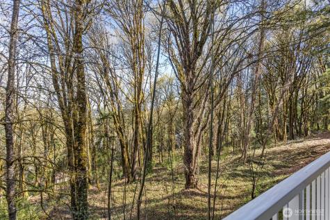 15230 SE 43rd Street Bellevue WA 98006