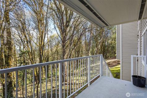 15230 SE 43rd Street Bellevue WA 98006