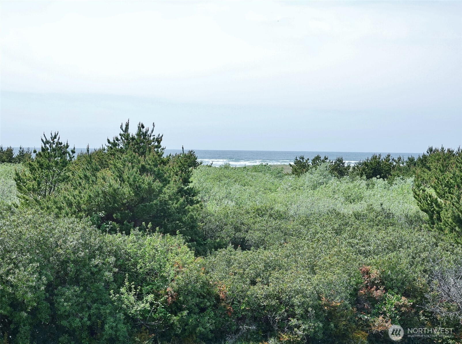 615 Ocean Shores Boulevard NW Ocean Shores WA 98569