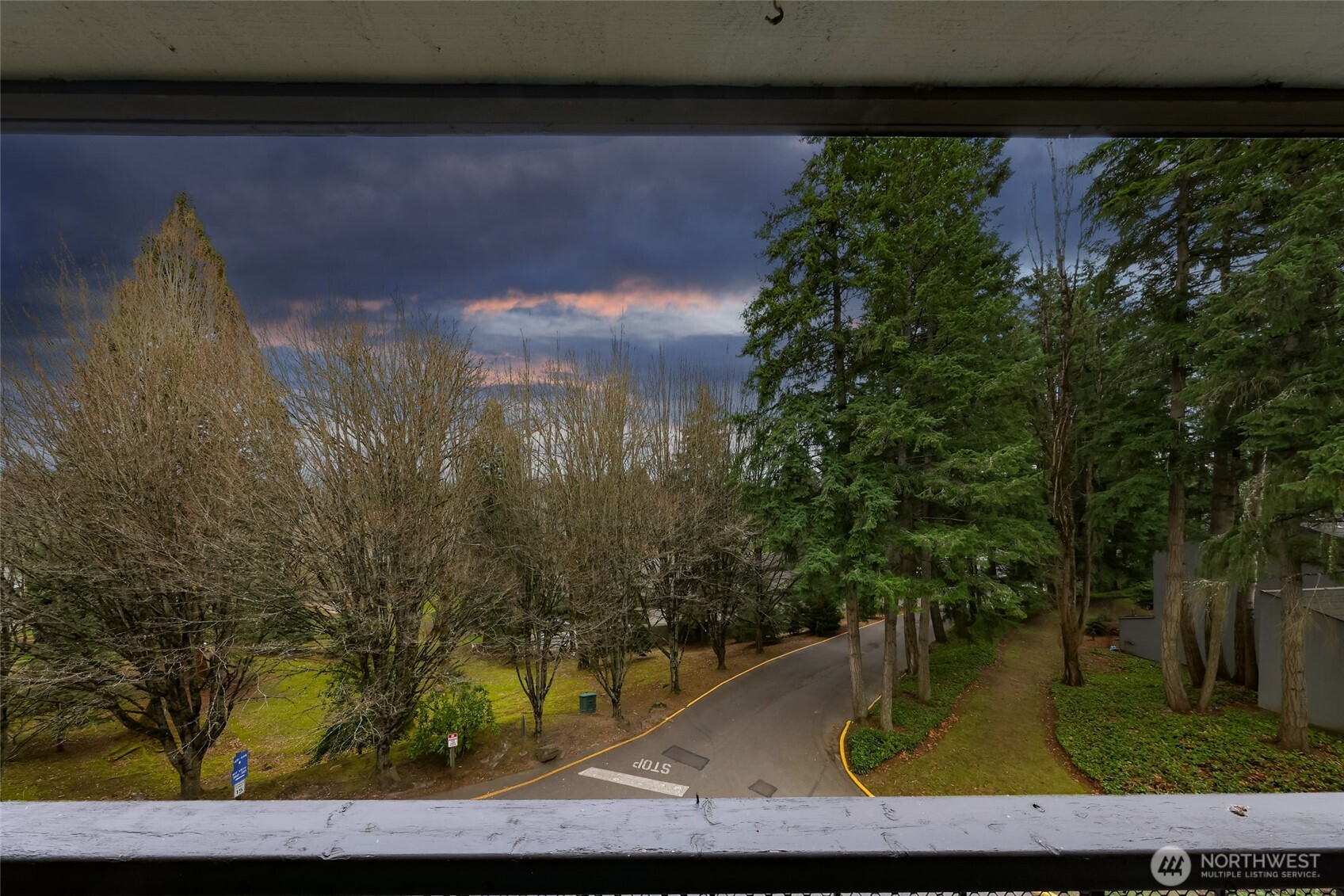 6479 NE 137th Avenue NE Redmond WA 98052
