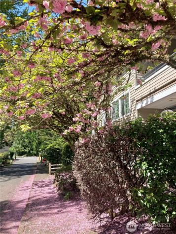 9822 NE 122nd Street Kirkland WA 98034