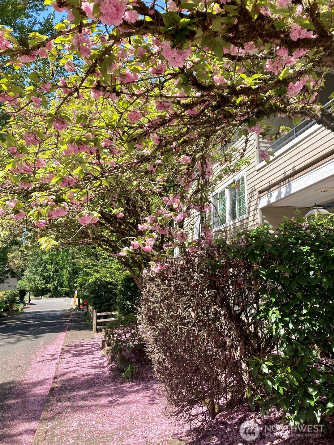 9822 NE 122nd Street Kirkland WA 98034