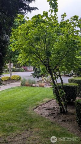 2733 143rd Street SW Lynnwood WA 98087