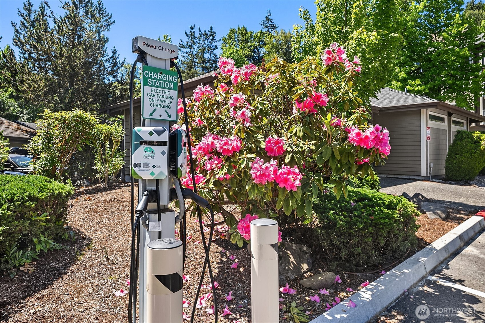 206 Mountain Park Boulevard SW Issaquah WA 98027