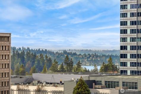 10650 NE 9th Place Bellevue WA 98004