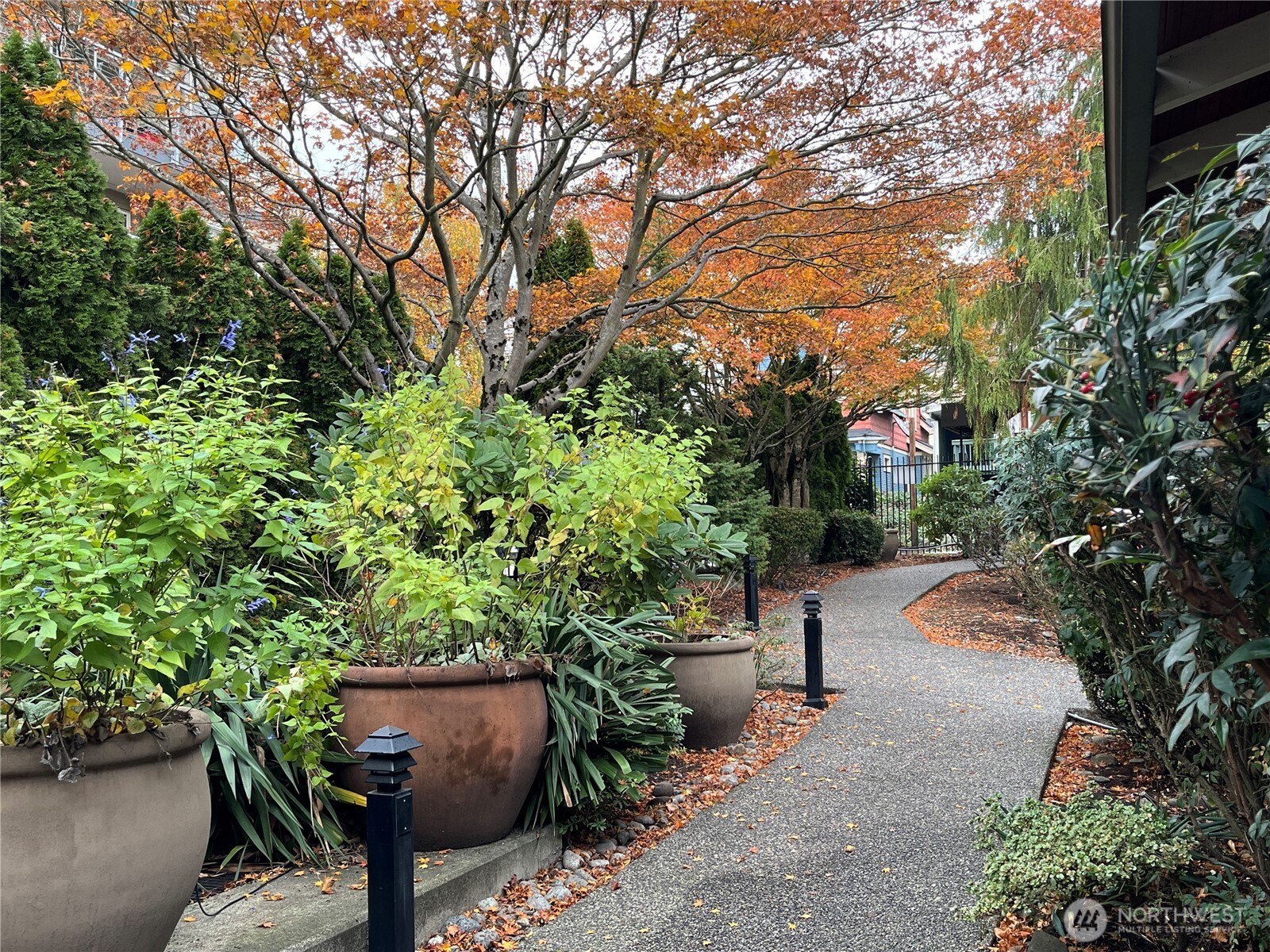 1311 12th Avenue S Seattle WA 98144