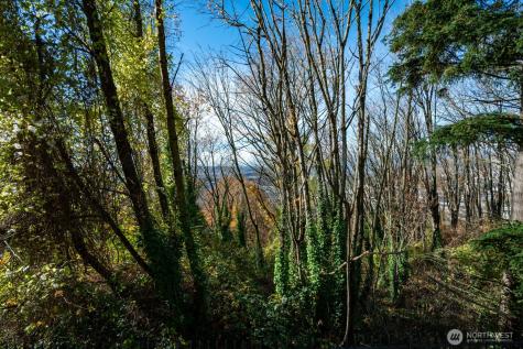 1311 12th Avenue S Seattle WA 98144
