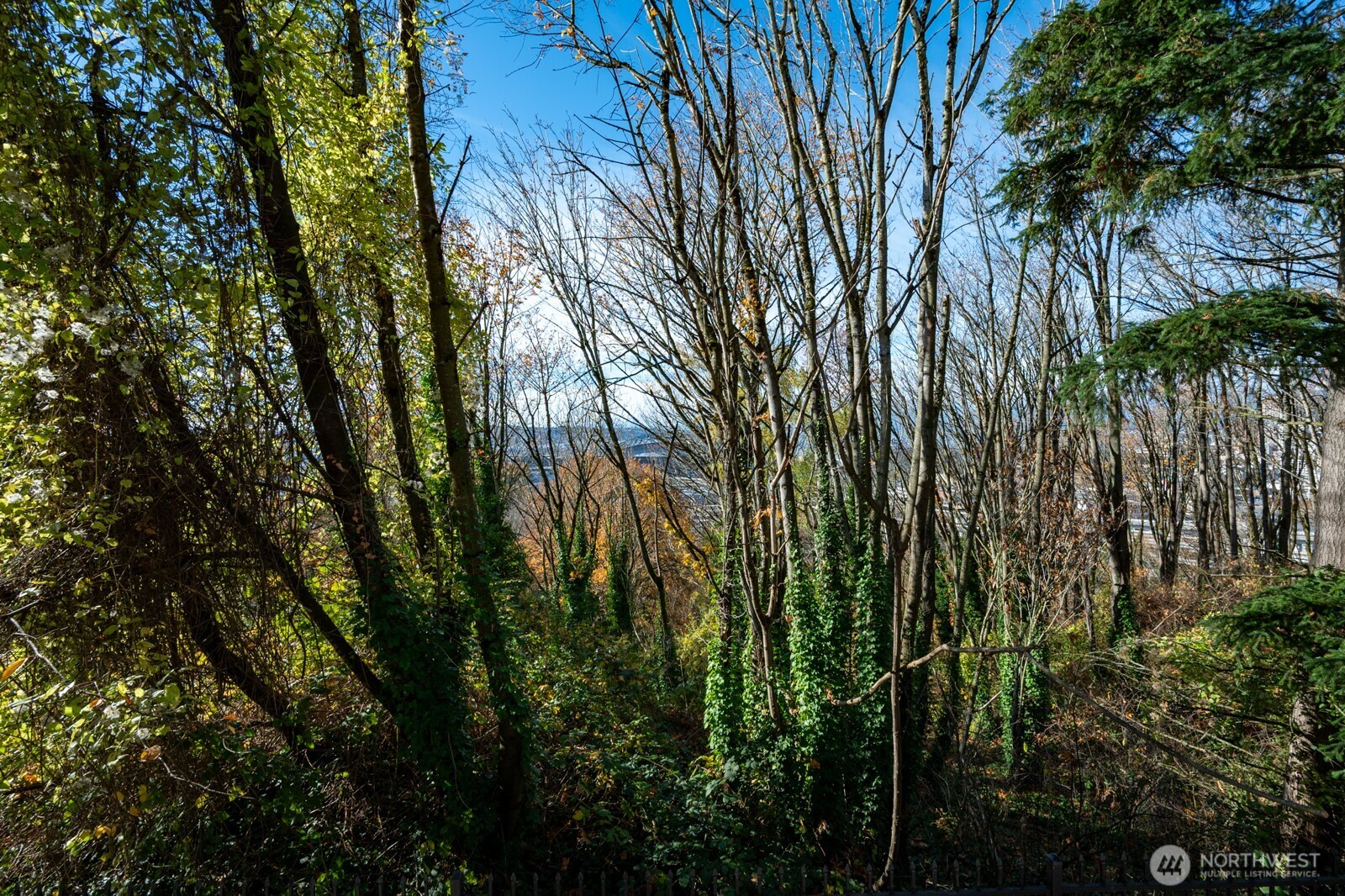 1311 12th Avenue S Seattle WA 98144