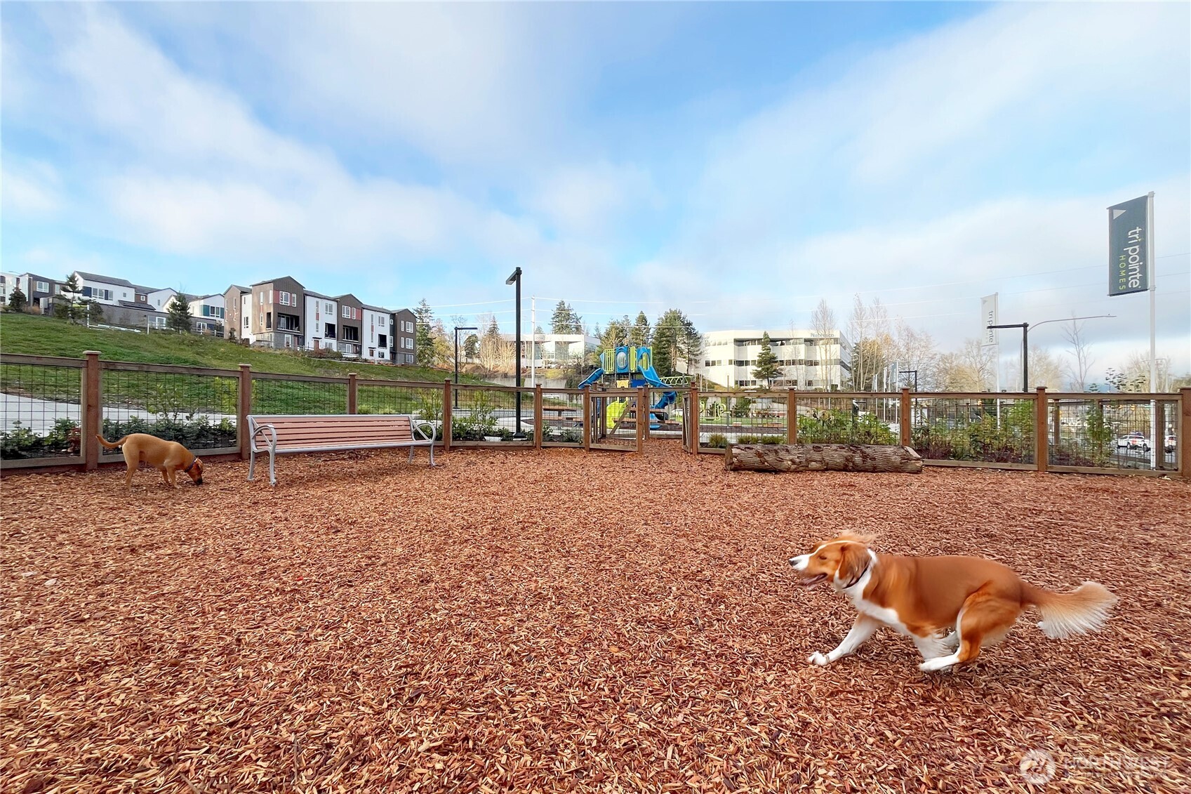 12217 137th Place NE Redmond WA 98052