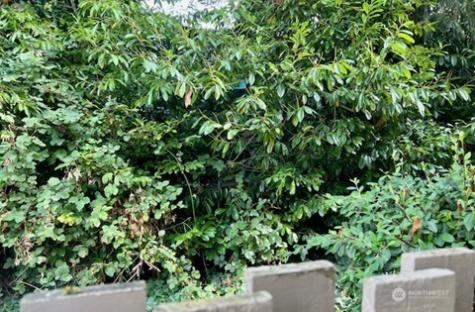 14200 SE 6th Street Bellevue WA 98007