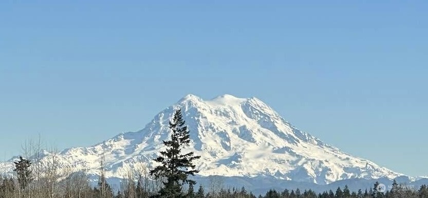 1546 Reservation Road SE Olympia WA 98513