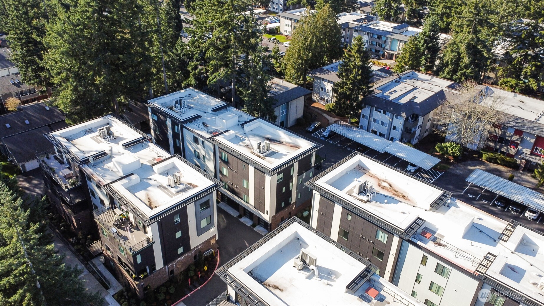 15538 NE 15th Place Bellevue WA 98007