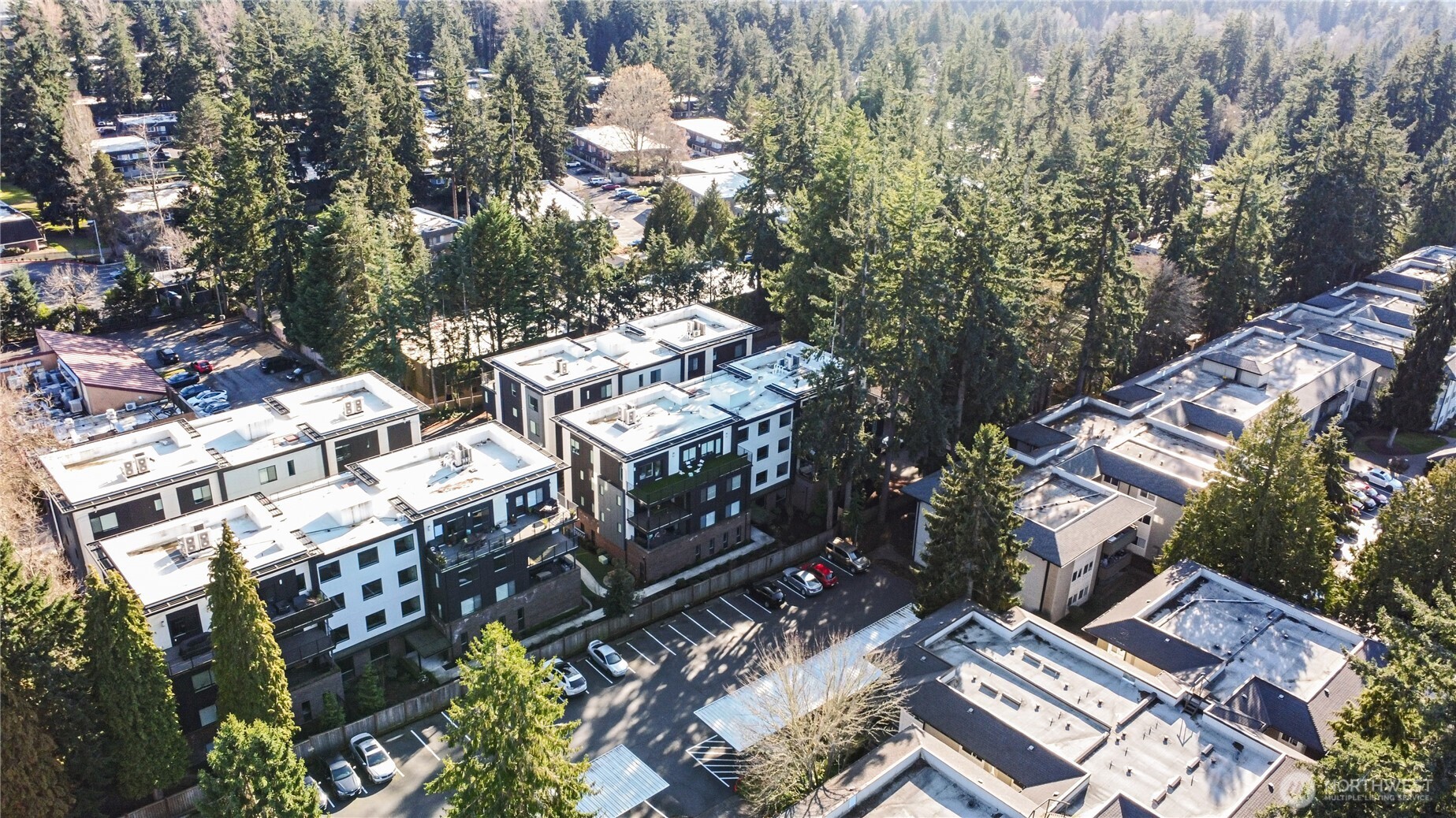 15538 NE 15th Place Bellevue WA 98007