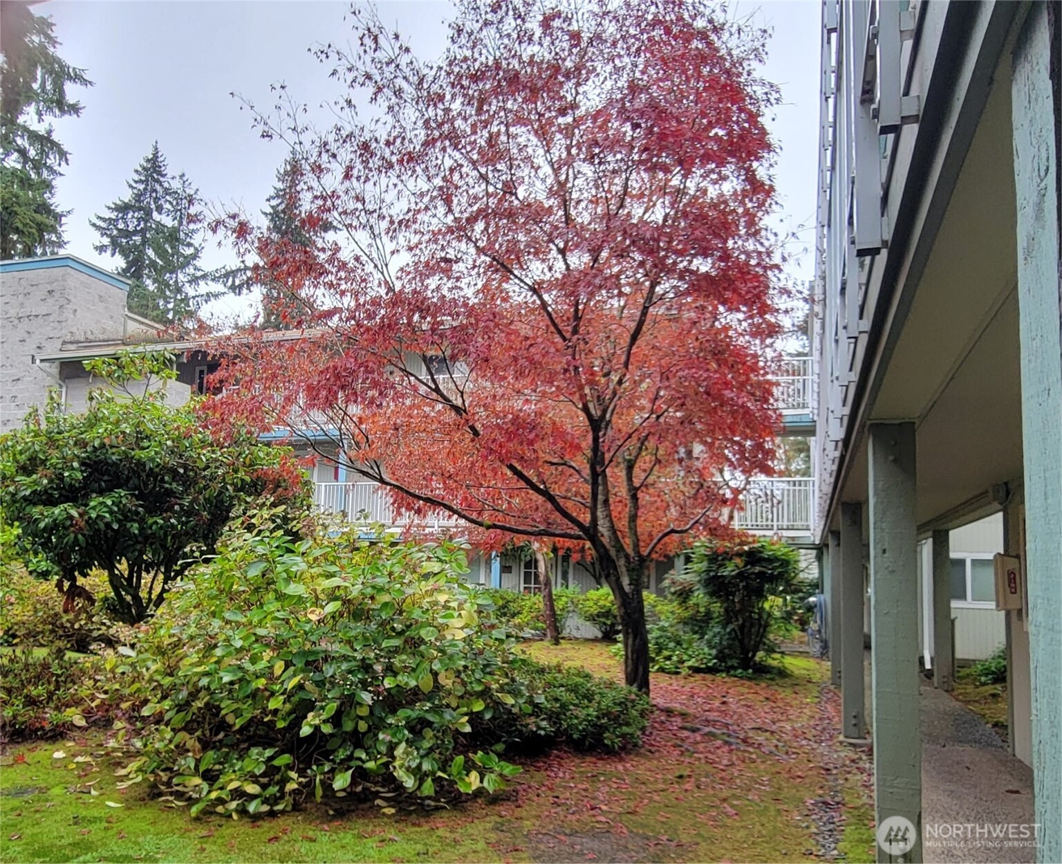 5802 200th Street SW Lynnwood WA 98036