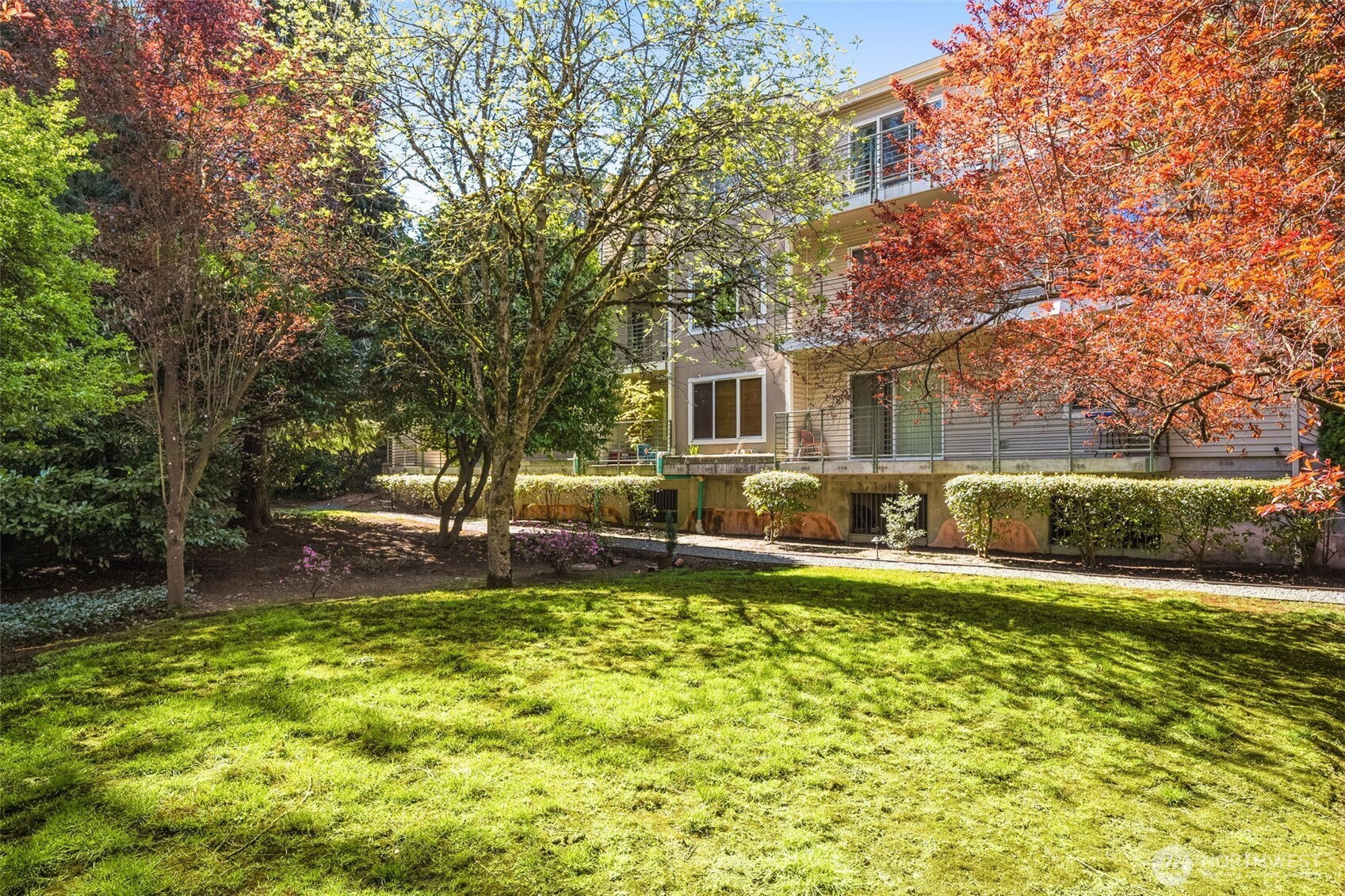 12034 15th Avenue NE Seattle WA 98125