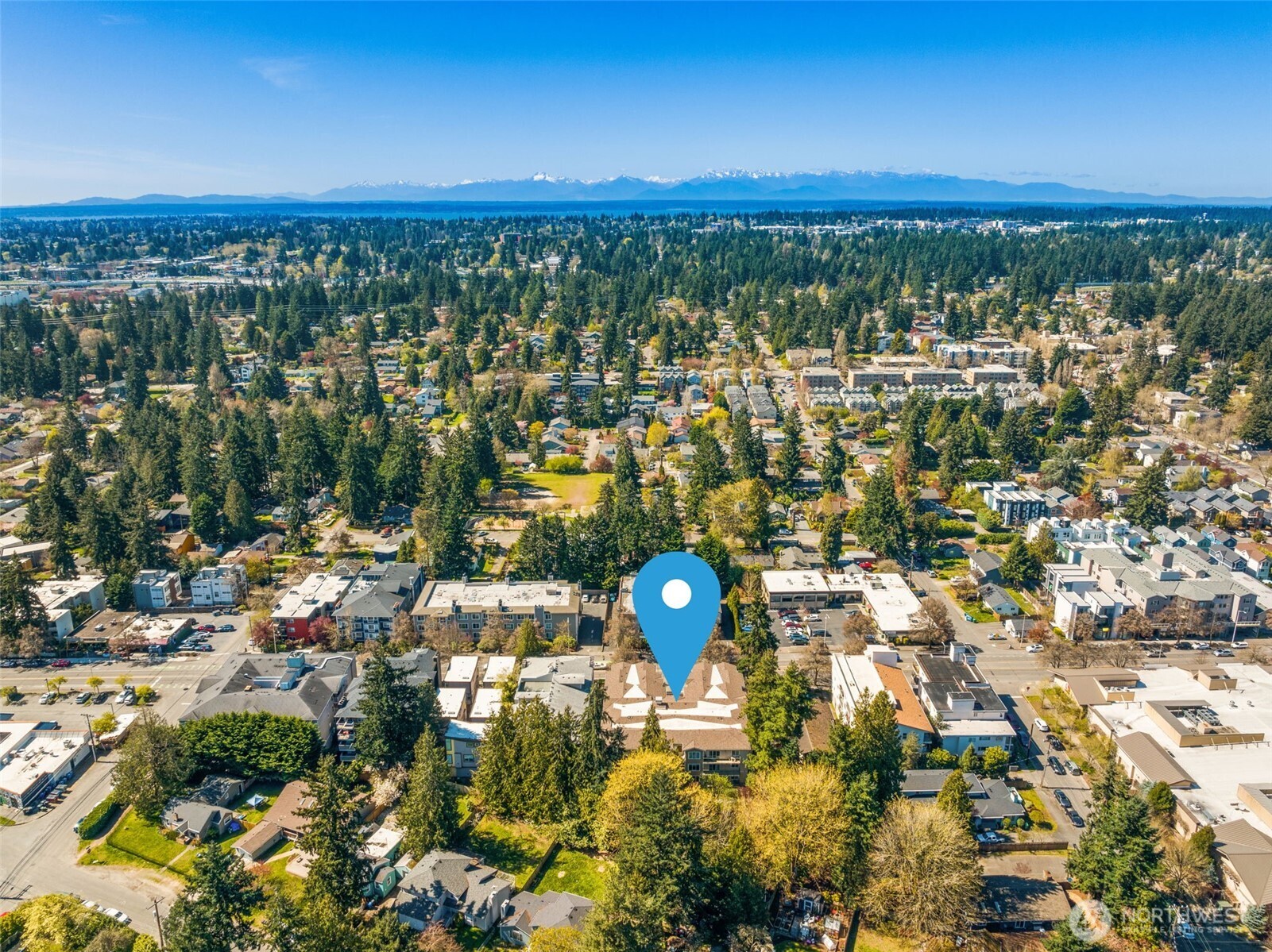 12034 15th Avenue NE Seattle WA 98125