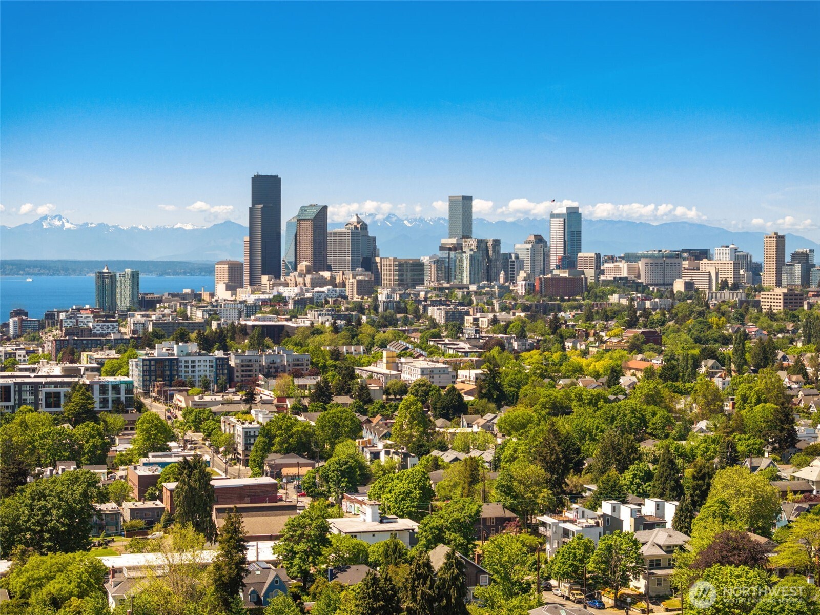 2901 S Jackson Street Seattle WA 98144