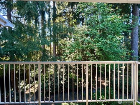 5502 220th Street SW Mountlake Terrace WA 98043