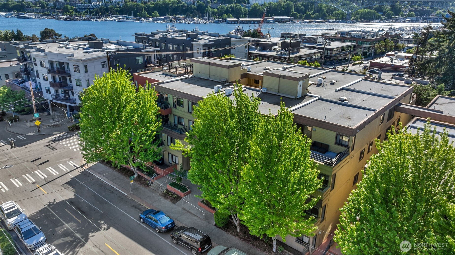 3401 Wallingford Avenue N Seattle WA 98103