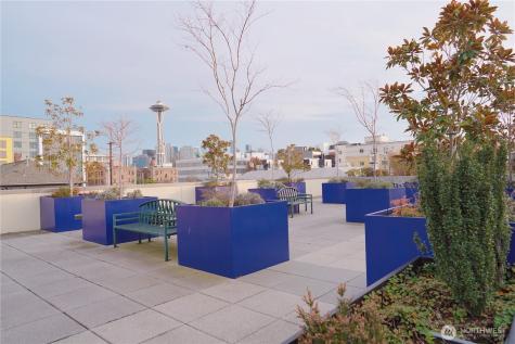 17 Mercer Street Seattle WA 98119