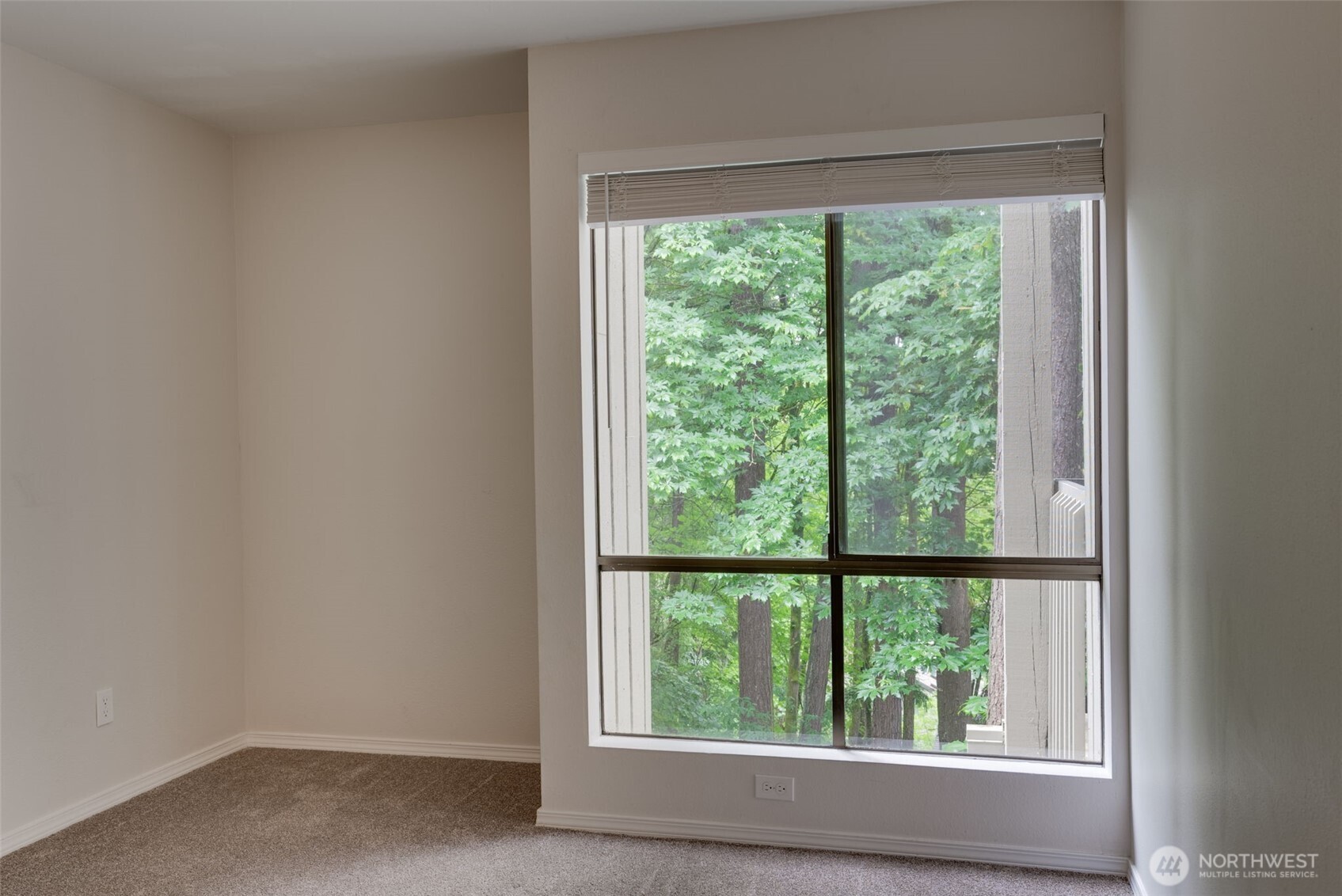 10819 NE 37th Place Bellevue WA 98004