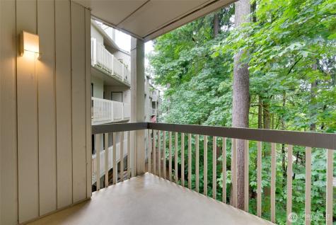 10819 NE 37th Place Bellevue WA 98004