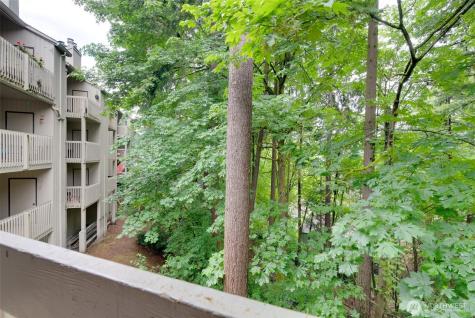 10819 NE 37th Place Bellevue WA 98004