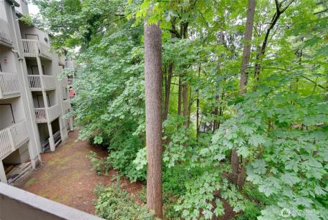 10819 NE 37th Place Bellevue WA 98004