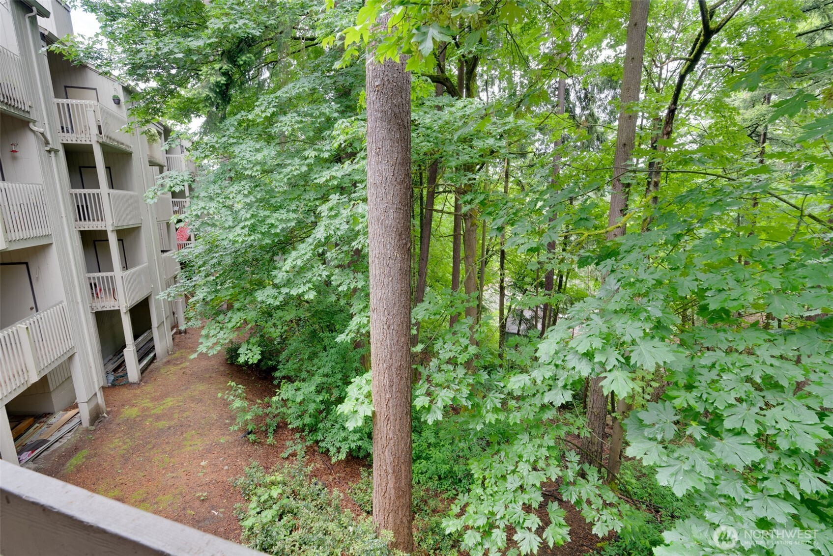 10819 NE 37th Place Bellevue WA 98004
