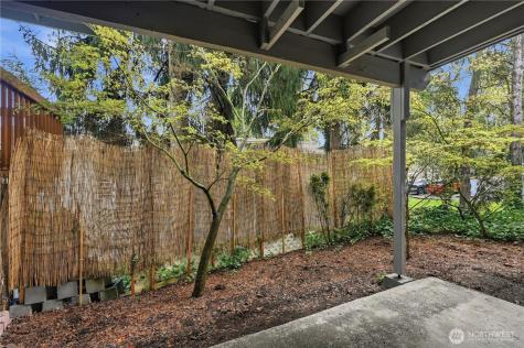 17203 NE 45th Street Redmond WA 98052