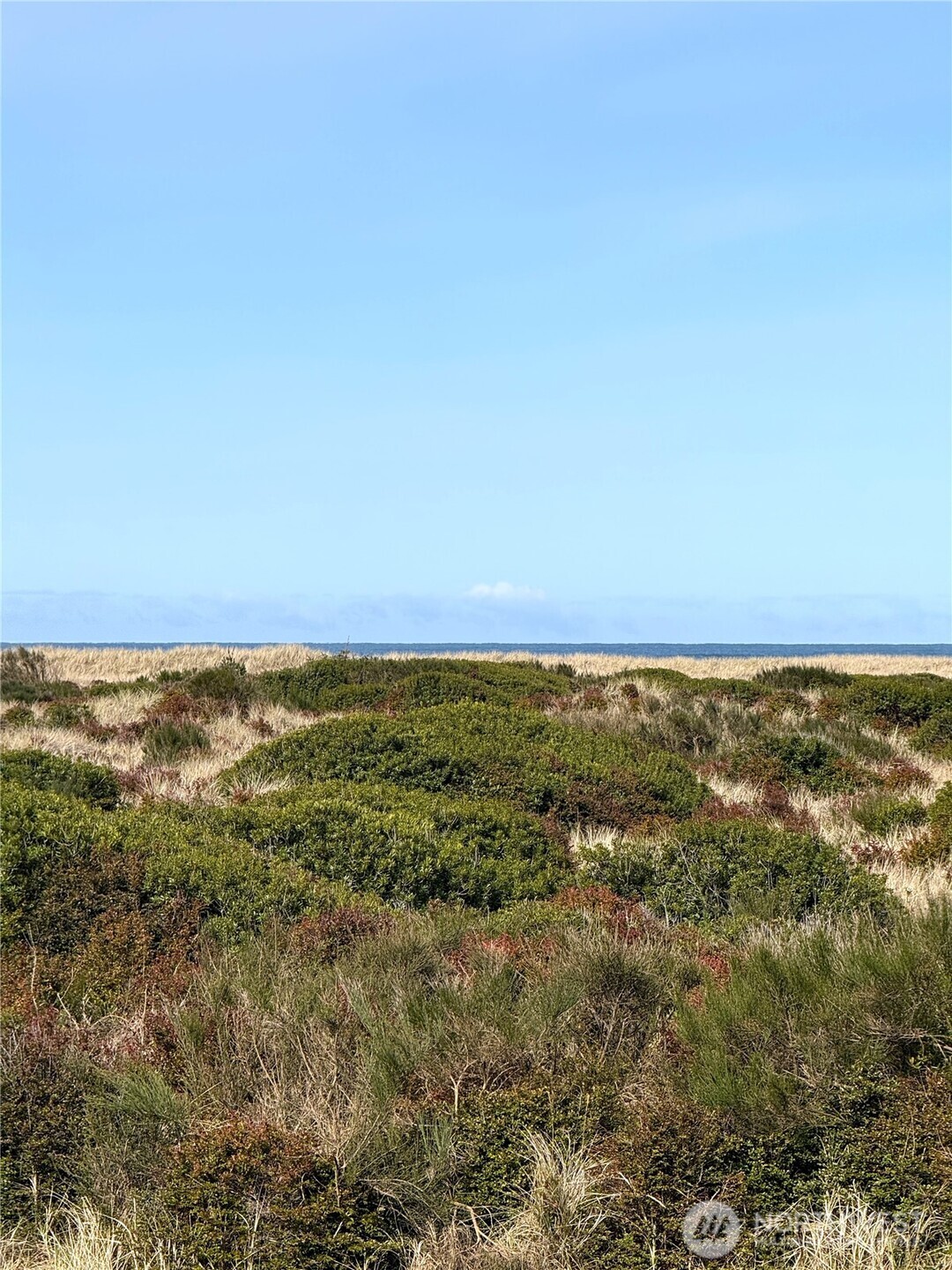 1027 S Sand Dune Avenue SW Ocean Shores WA 98569