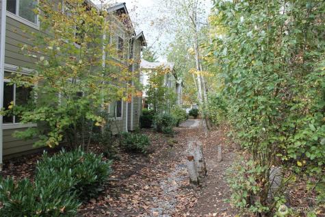 538 241st Lane SE Sammamish WA 98074