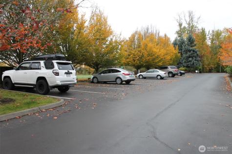 538 241st Lane SE Sammamish WA 98074