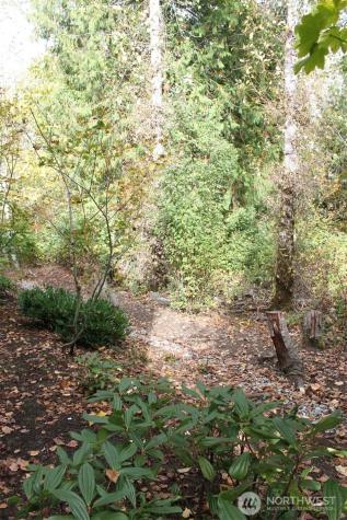 538 241st Lane SE Sammamish WA 98074
